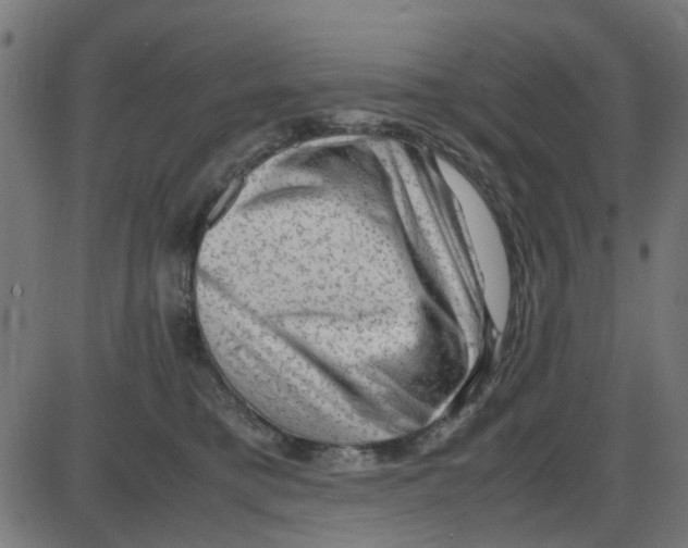 X0000087420421200705181427