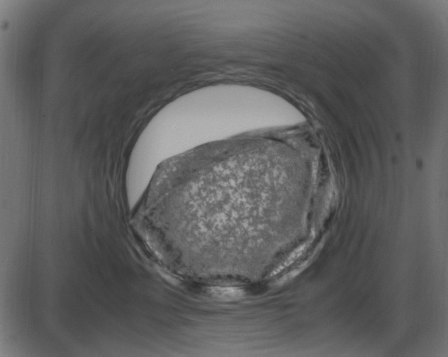 X0000087420429200705181427