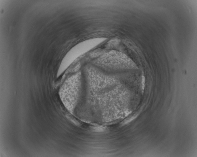 X0000087420432200705181427