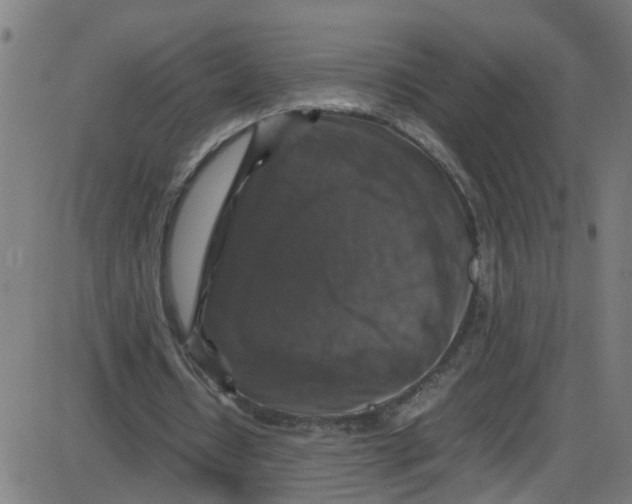 X0000087420434200705181426