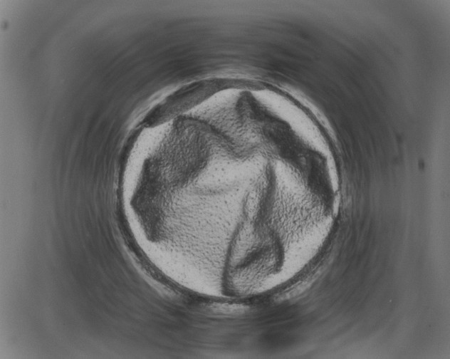 X0000087420437200705181426