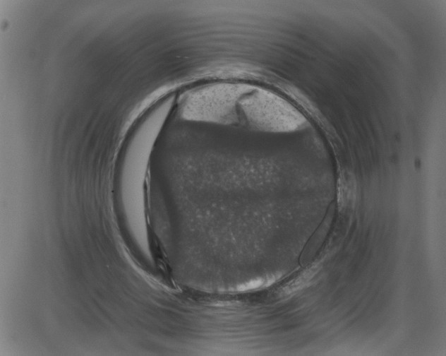 X0000087420438200705181426