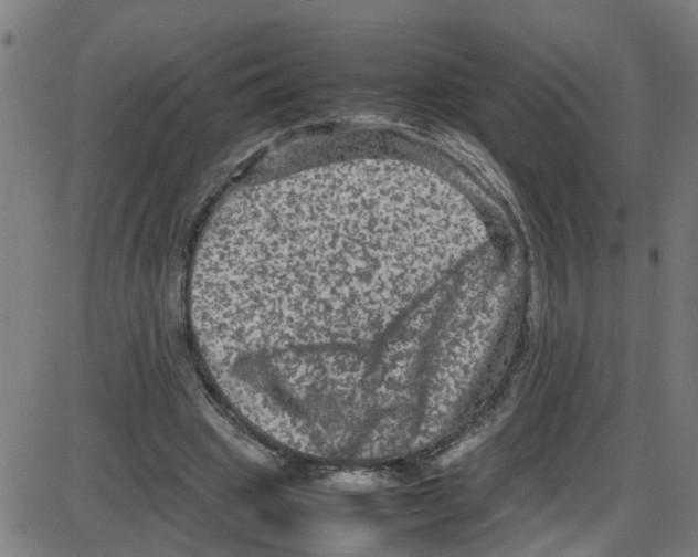 X0000087420441200705181426