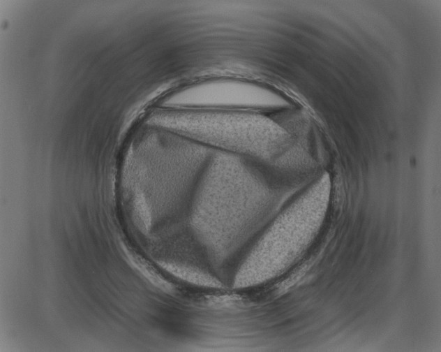X0000087420446200705181427