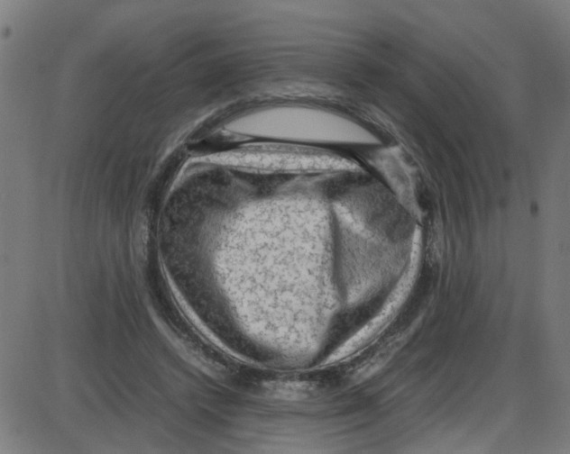 X0000087420448200705181427
