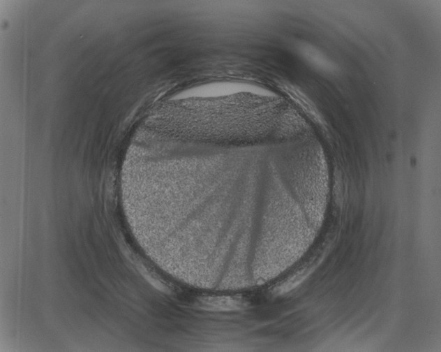 X0000087420449200705181427