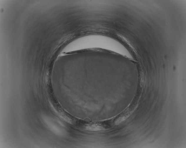 X0000087420451200705181427