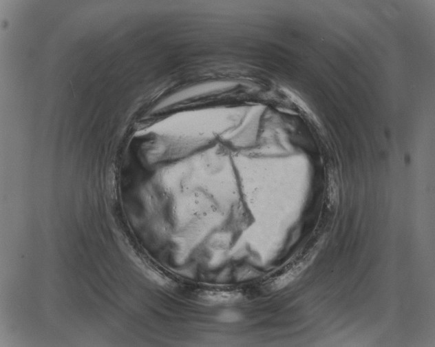 X0000087420453200705181427