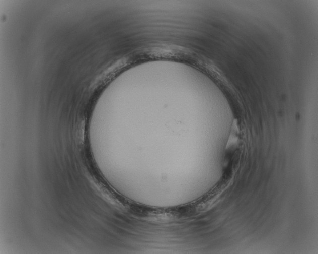 X0000087420454200705181427