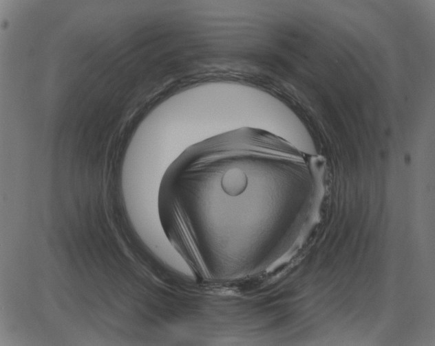 X0000087420456200705181427