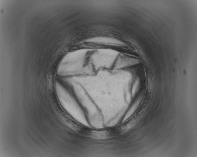 X0000087420457200705181427