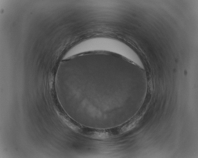 X0000087420458200705181427