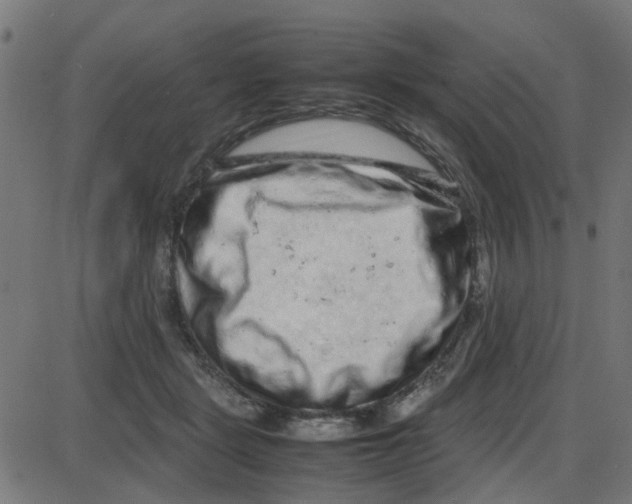 X0000087420461200705181427