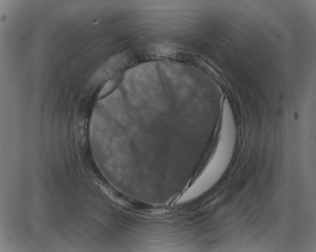 X0000087420462200705181427