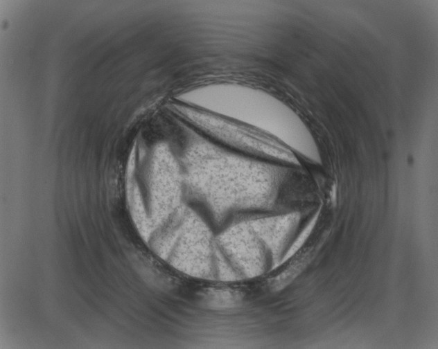X0000087420464200705181427