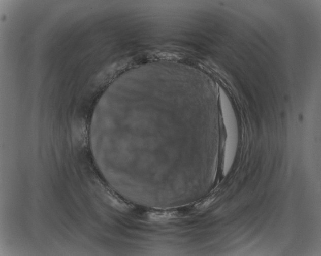 X0000087420465200705181427