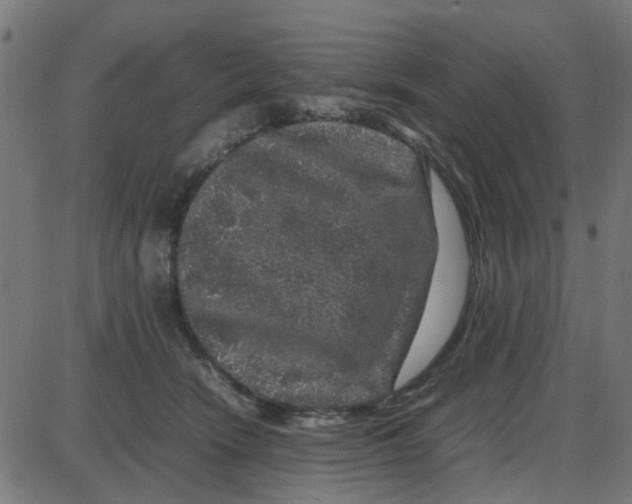 X0000087420466200705181427