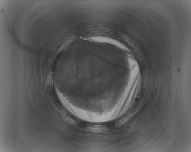 X0000087420467200705181427
