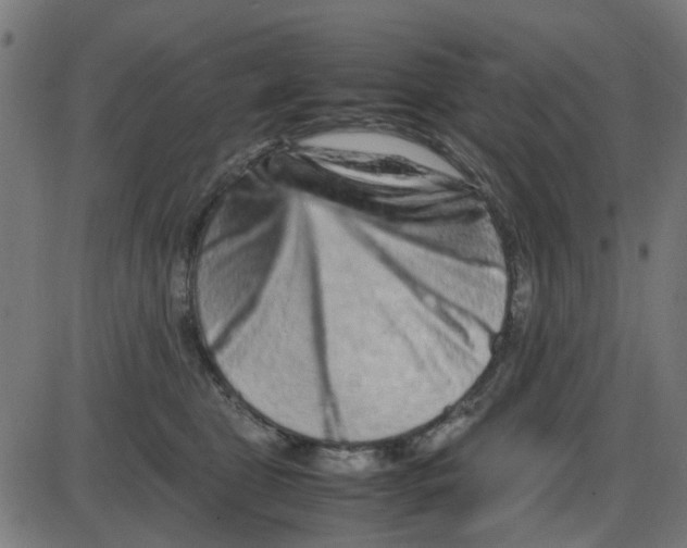X0000087420469200705181427
