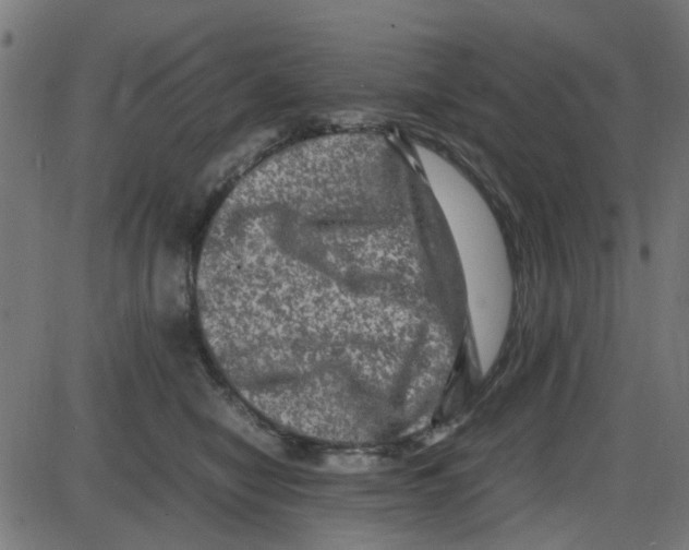 X0000087420470200705181427