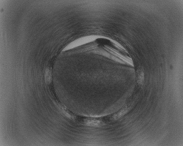 X0000087420471200705181427