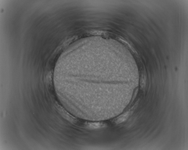 X0000087420473200705181427