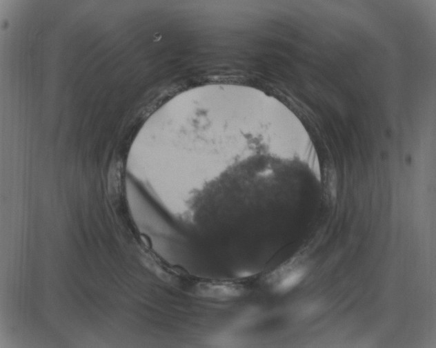 X0000087420475200705181427