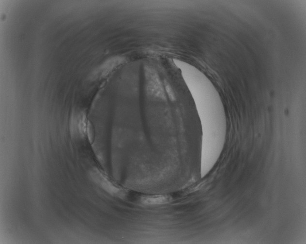 X0000087420479200705181427