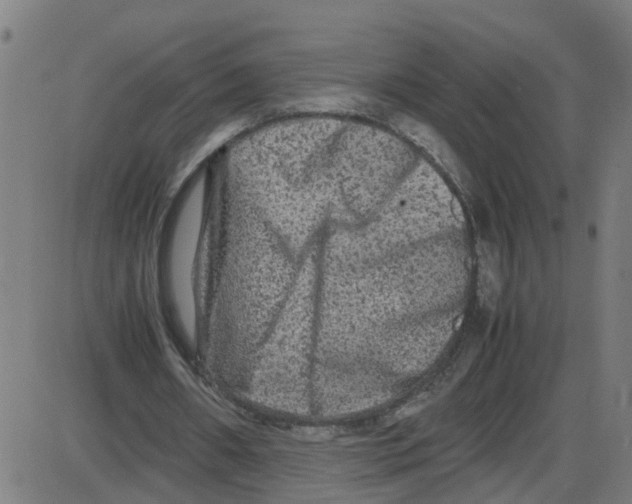 X0000087420482200705181426
