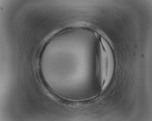 X0000087420485200705181426