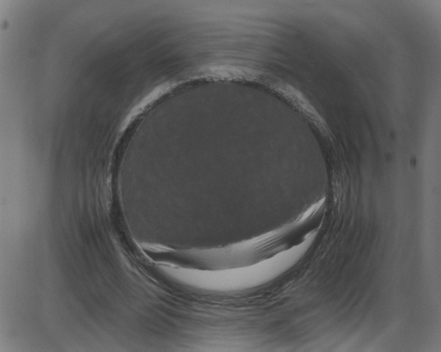 X0000087420488200705181426