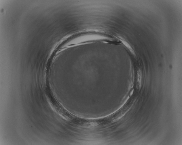 X0000087420492200705181426