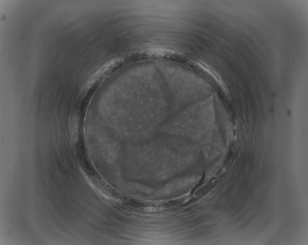 X0000087420496200705181426
