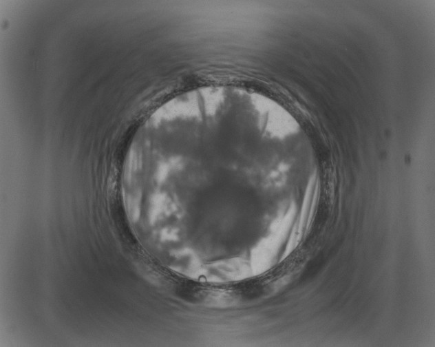 X0000087420507200705181426