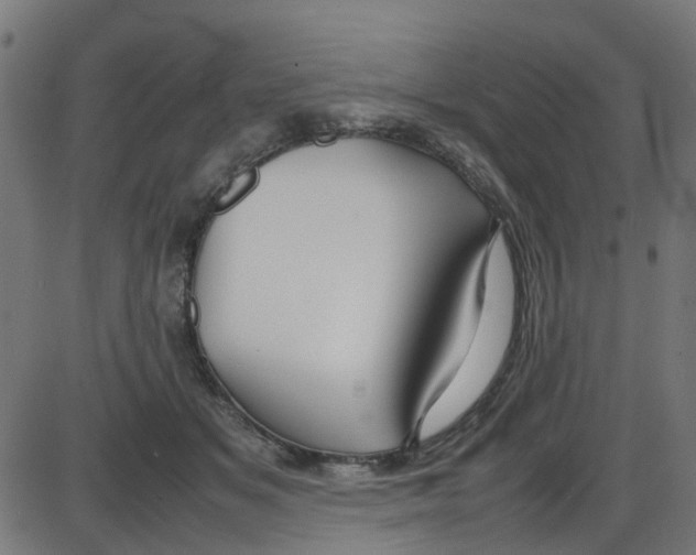 X0000087420509200705181426