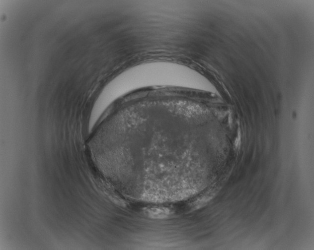 X0000087420512200705181426