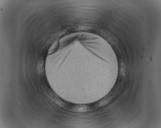 X0000087420514200705181426