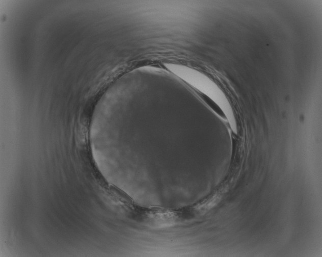 X0000087420517200705181426