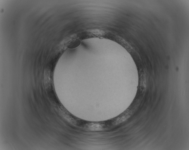 X0000087420518200705181426