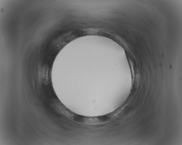X0000087420525200705181426