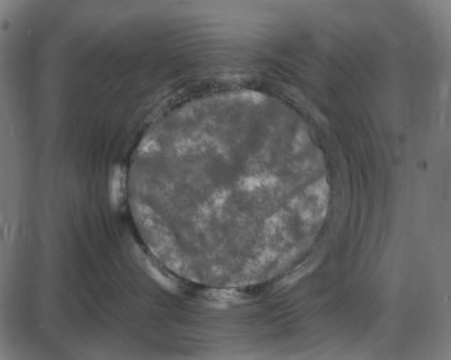 X0000087420528200705181426