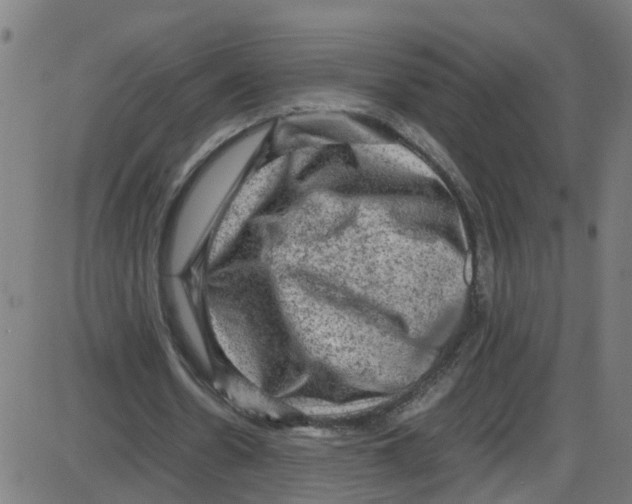 X0000087420530200705181425