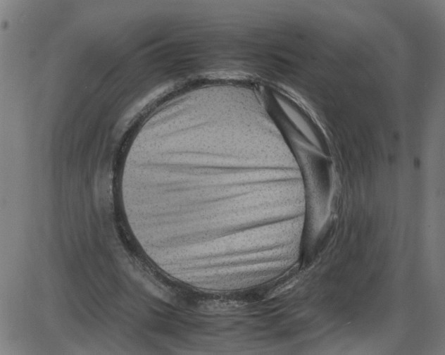 X0000087420535200705181425