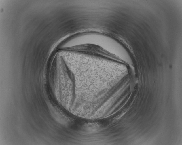 X0000087420536200705181425