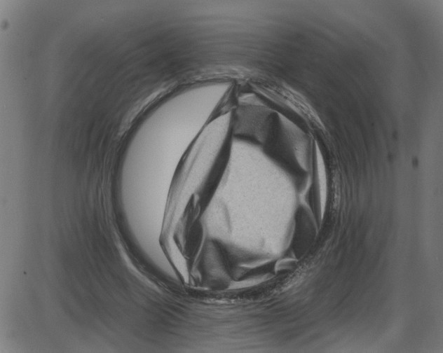 X0000087420538200705181425