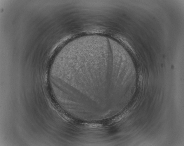 X0000087420539200705181425