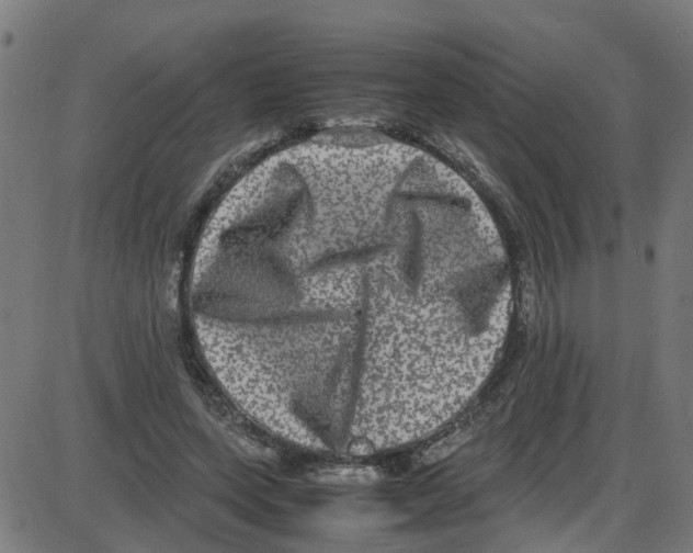 X0000087420543200705181425