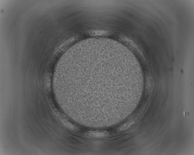 X0000087420545200705181425