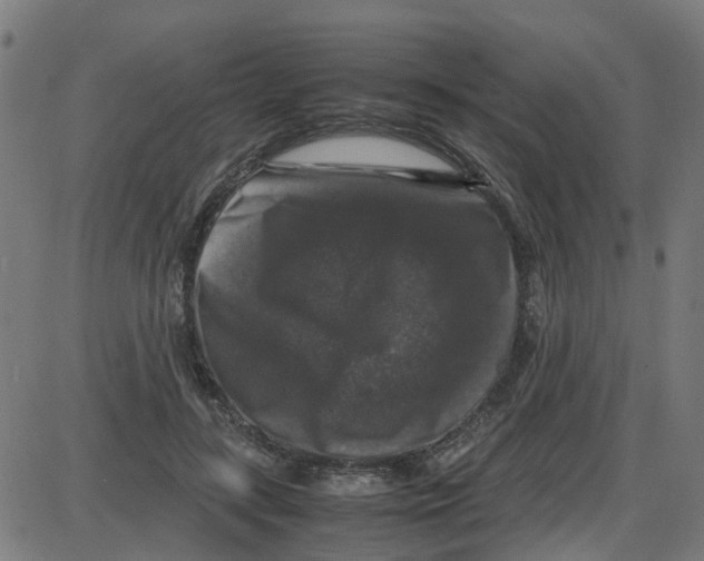 X0000087420547200705181425