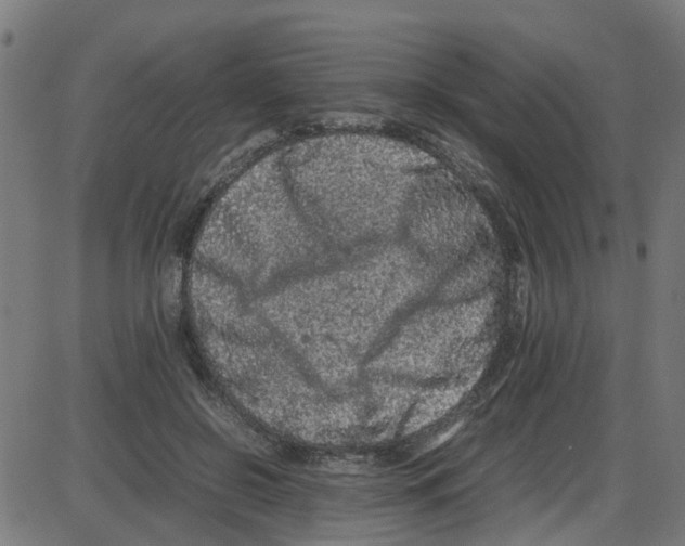 X0000087420550200705181425